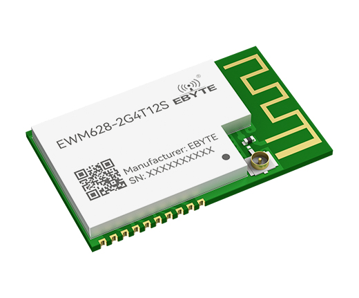 EWM628-2G4T12S