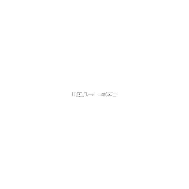 688060029
